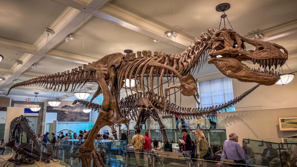 NT MuseumOfNaturalHistory